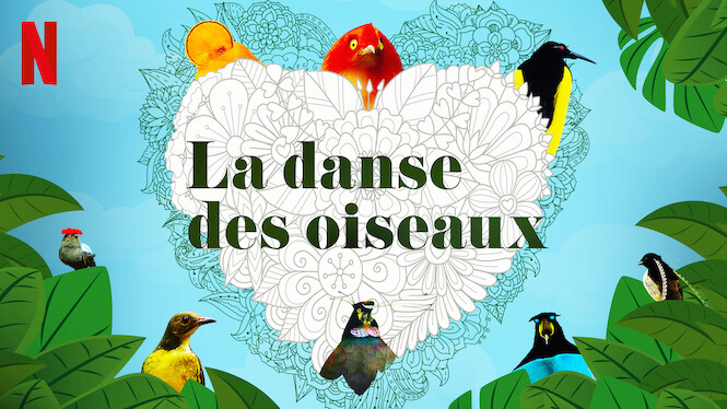 La danse des oiseaux