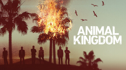 Animal Kingdom