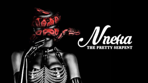 Nneka The Pretty Serpent